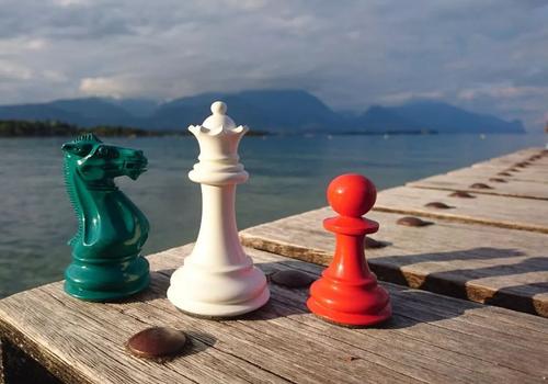 我曾经在荷兰下国际象棋的感悟