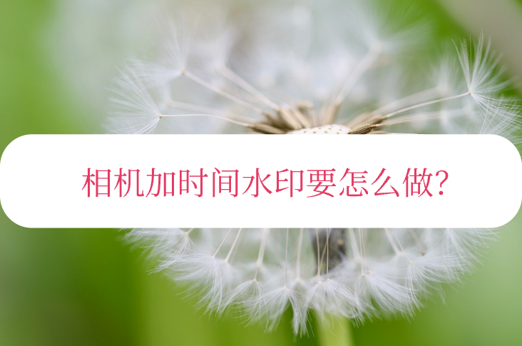 相机如何添加日期时间水印 给相机加时间水印的方法